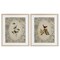 Stupell Industries Vintage Birds & Toile 2pc Framed Print Under Glass Set, design by Radhika Modi